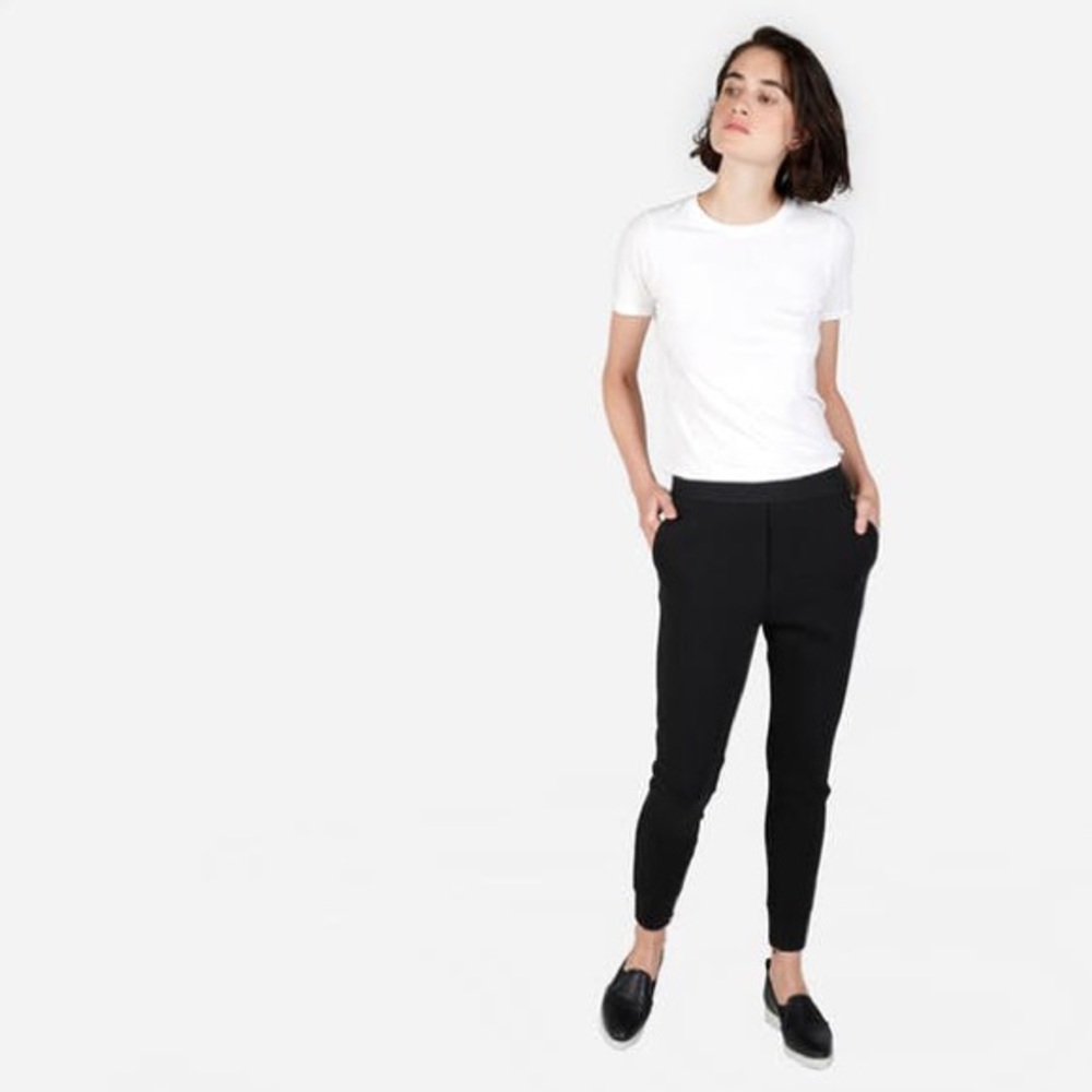 Everlane street fleece pants